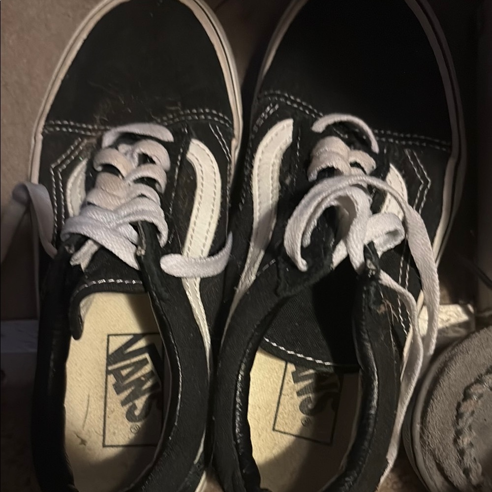 Vans Black and White Iconic Sneakers
